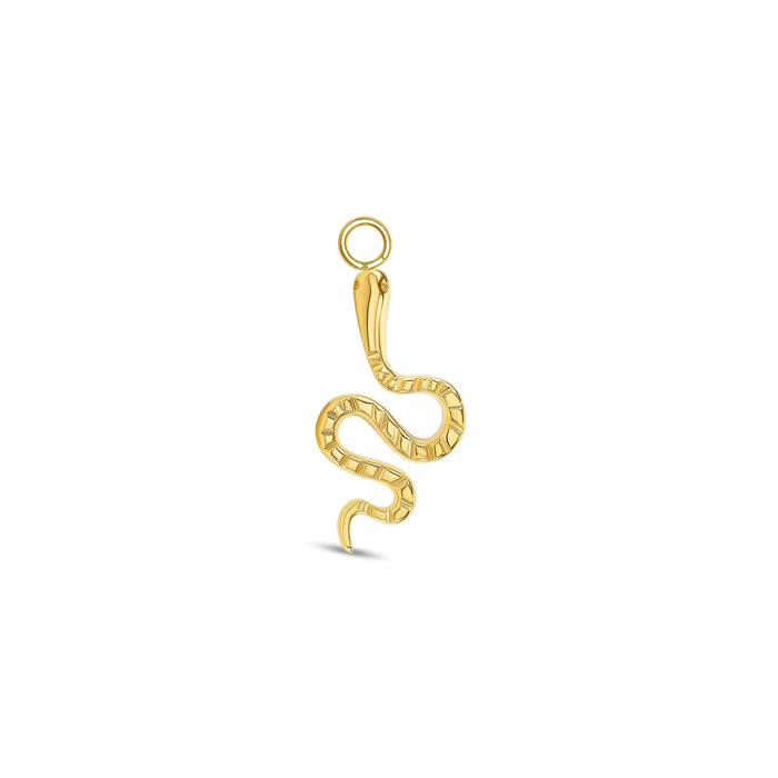 Snake Charm