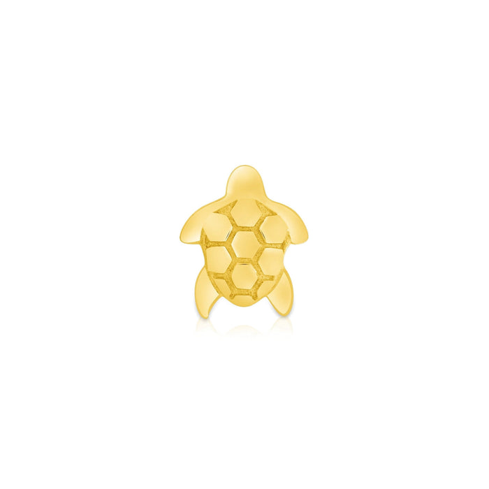 Sea Turtle End