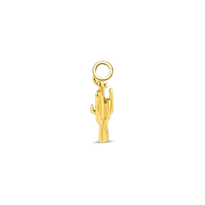 Cactus Charm