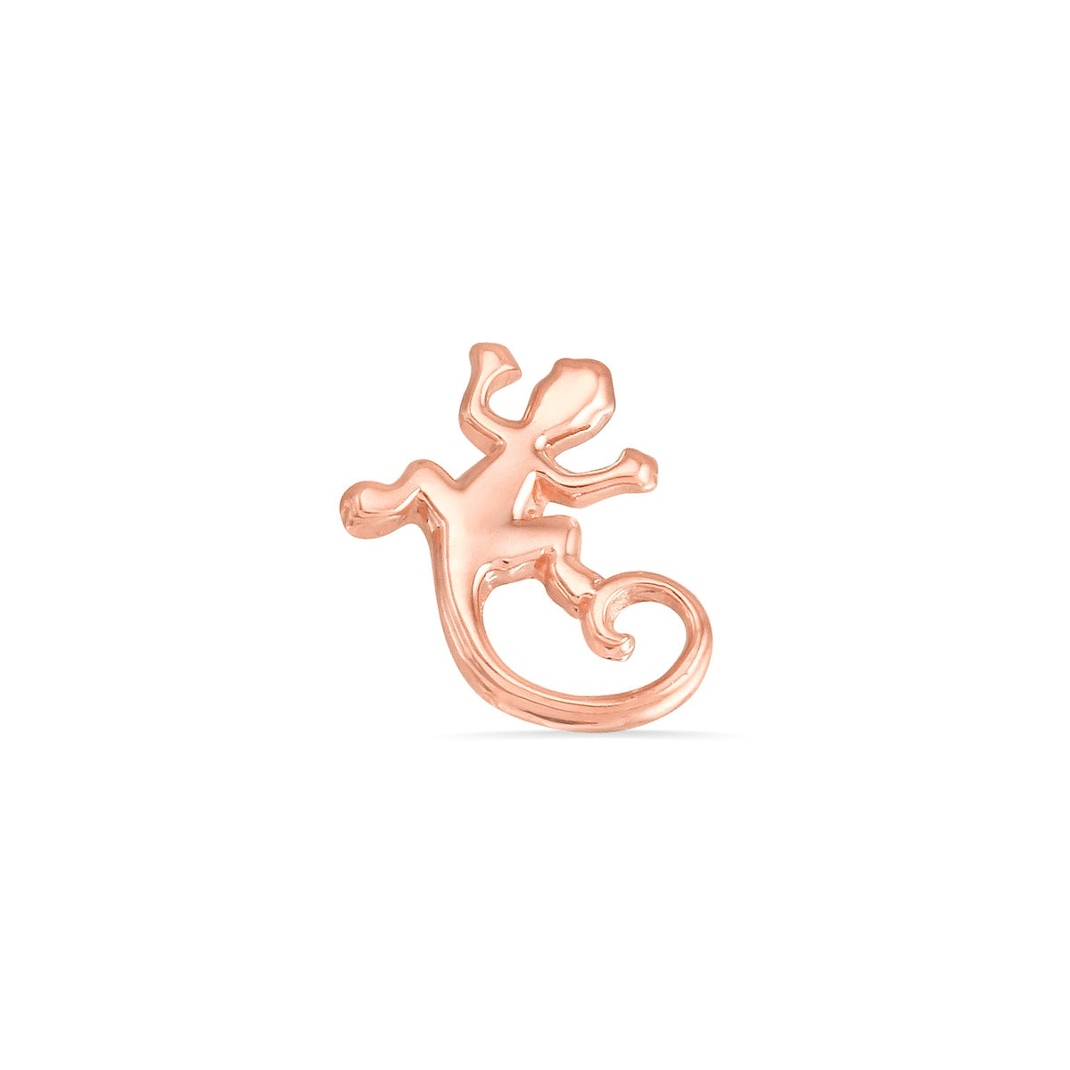 Lizard End