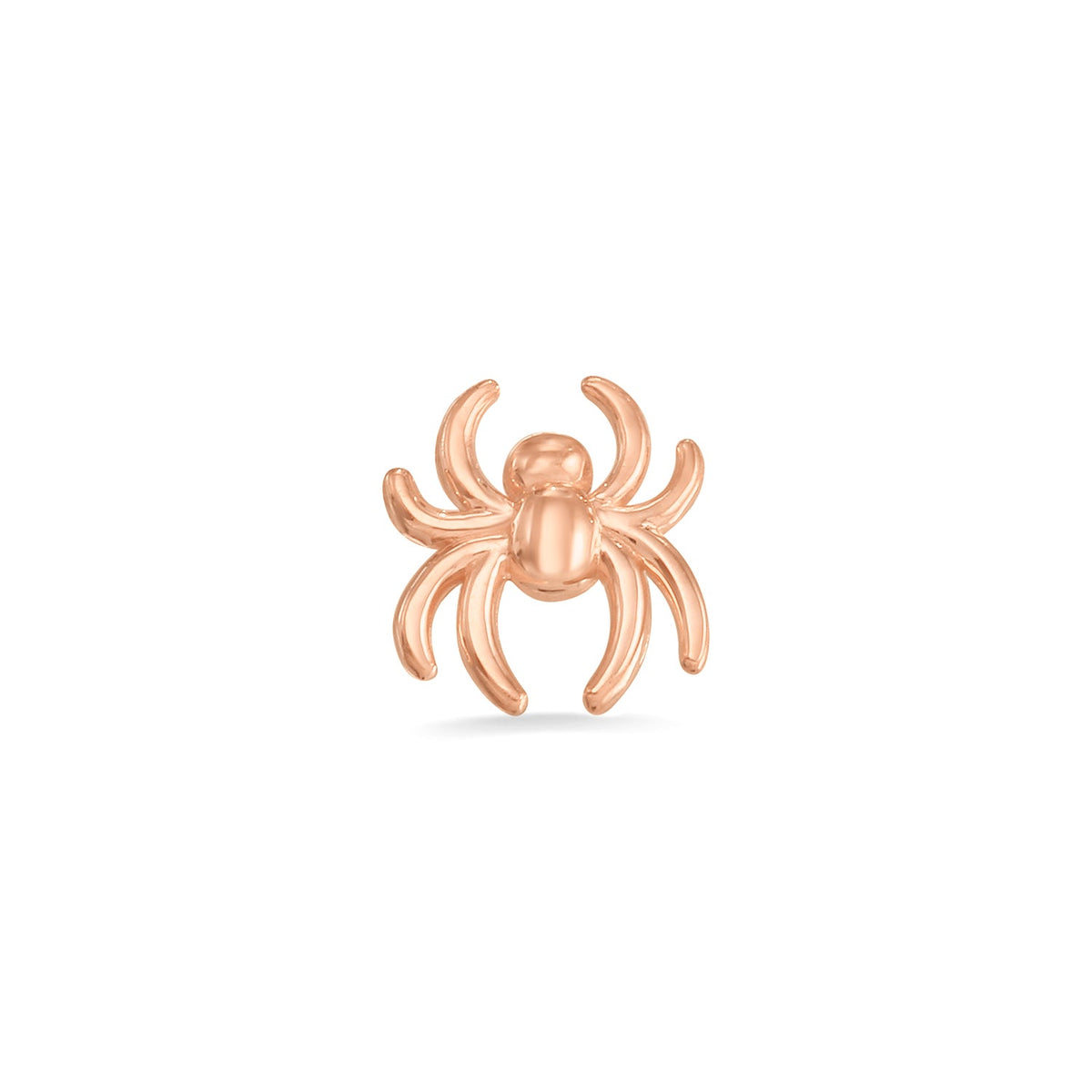 Spider End
