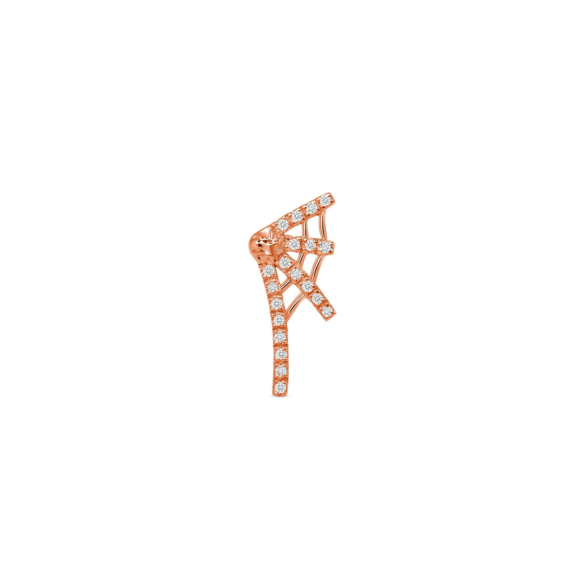 Tarantula Web End