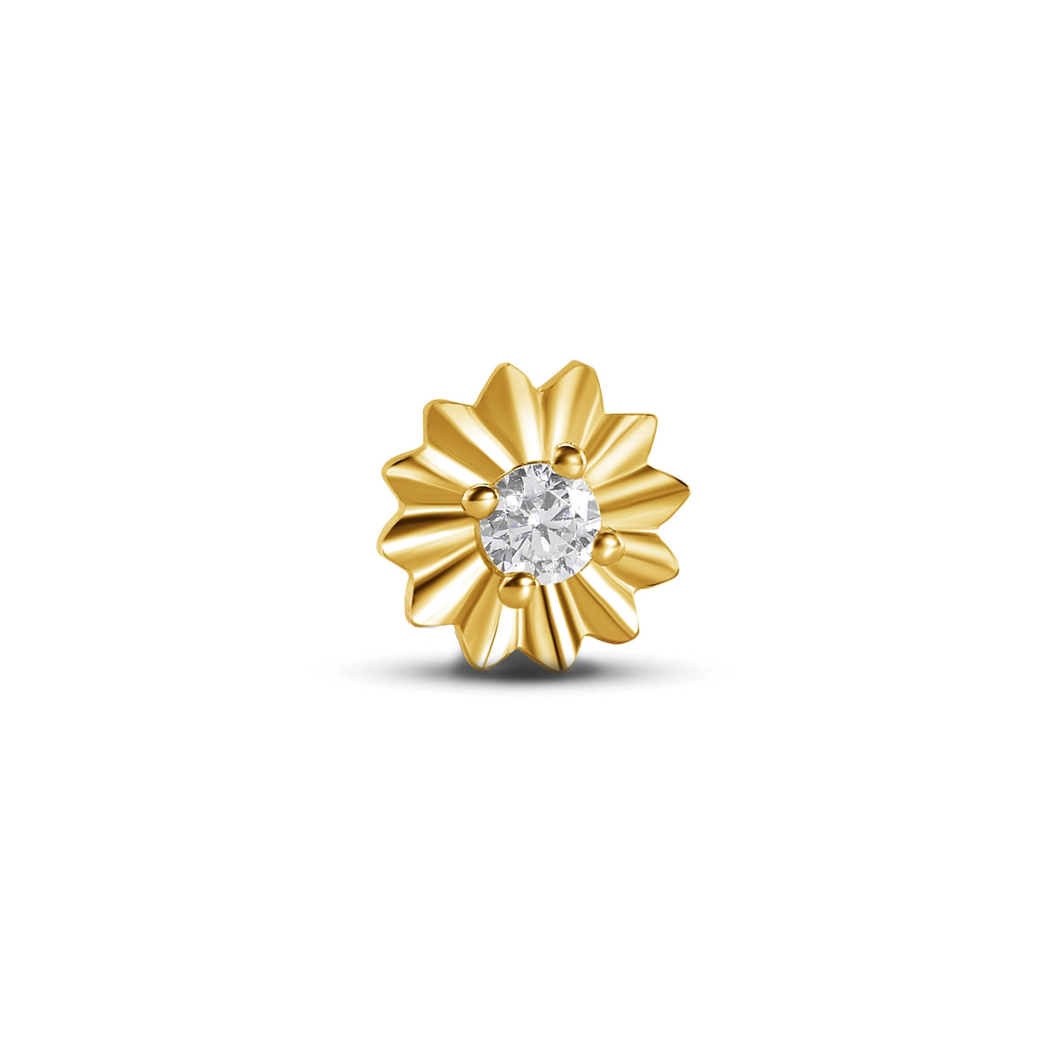 Gazania End