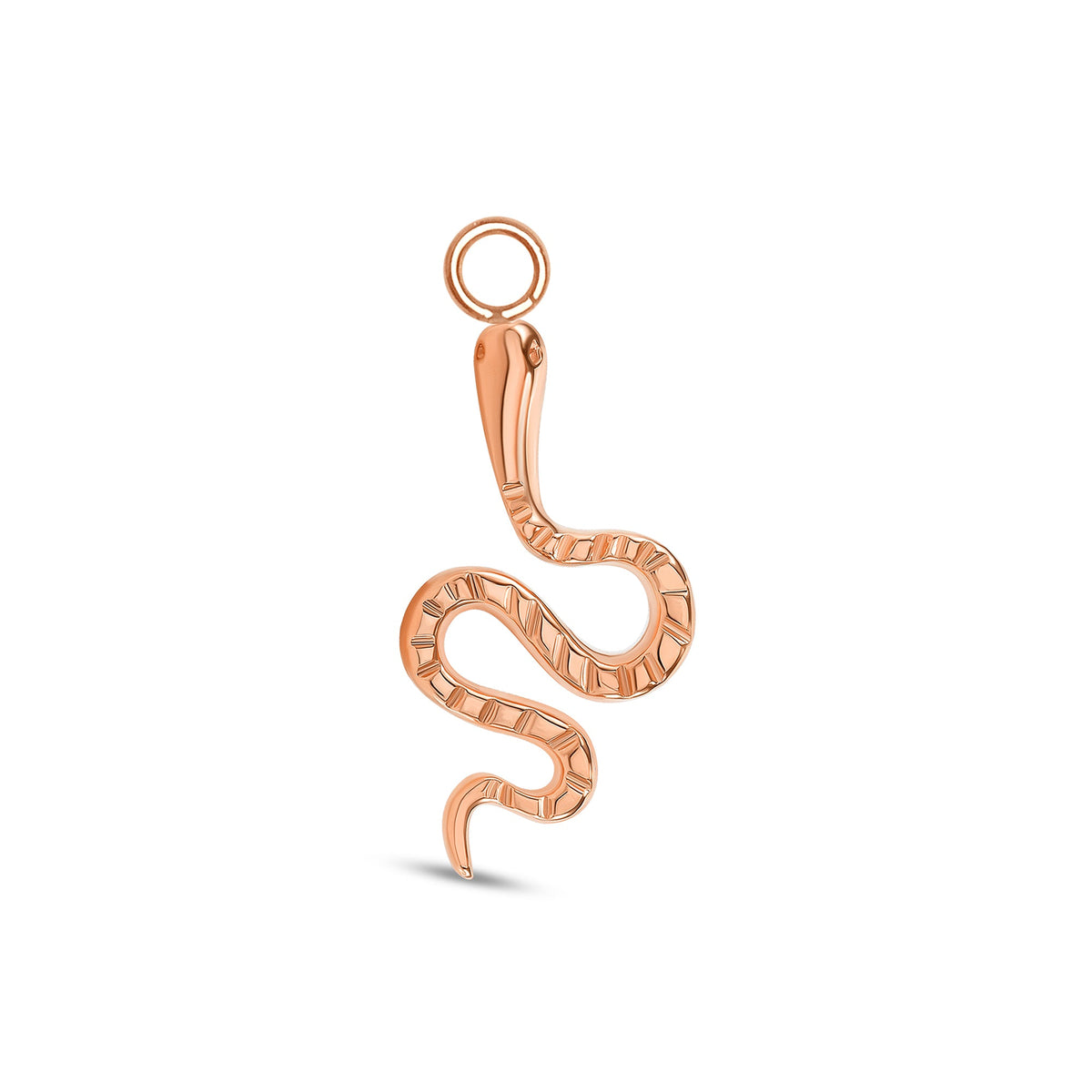 Snake Charm
