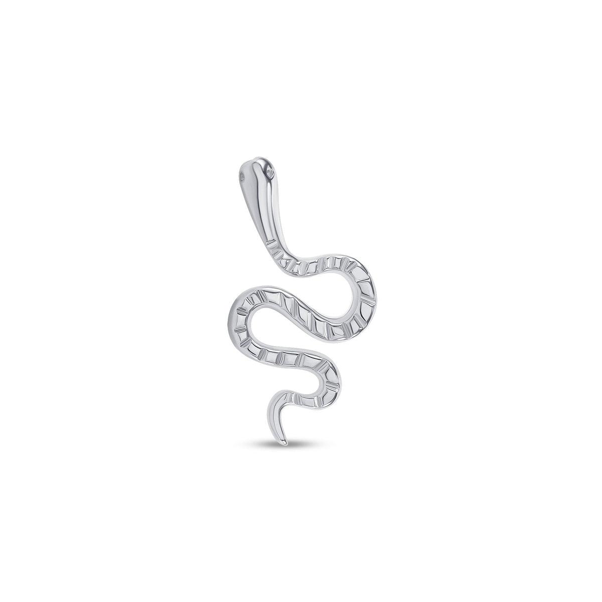 Snake End