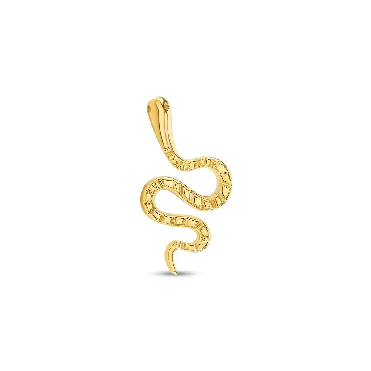 Snake End