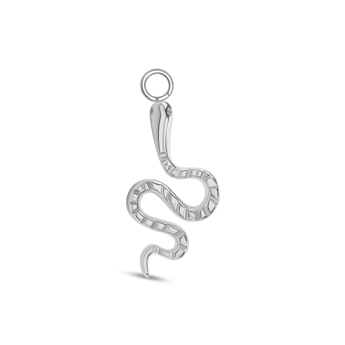 Snake Charm