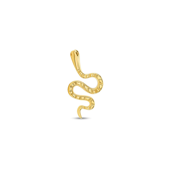 Snake End