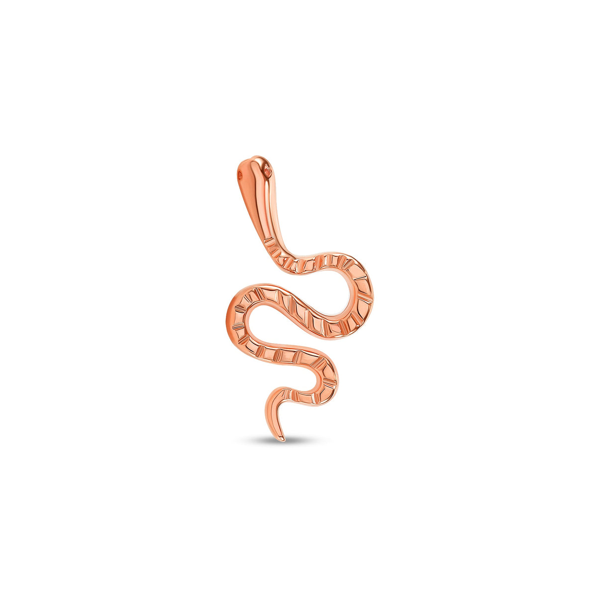 Snake End