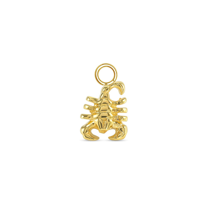 Scorpion Charm