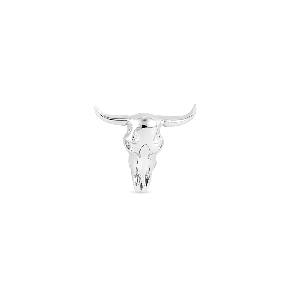 Buckaroo Skull End