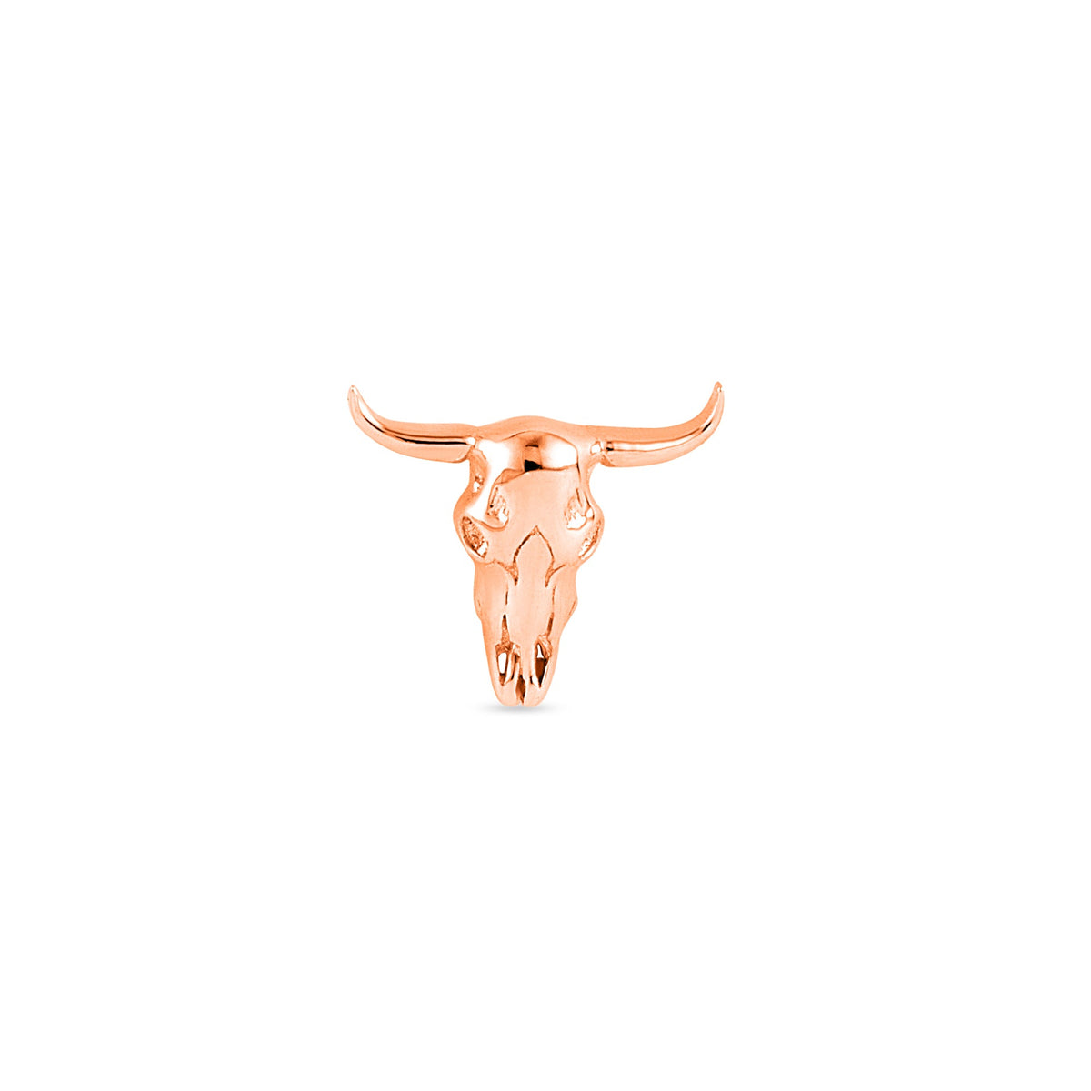 Buckaroo Skull End