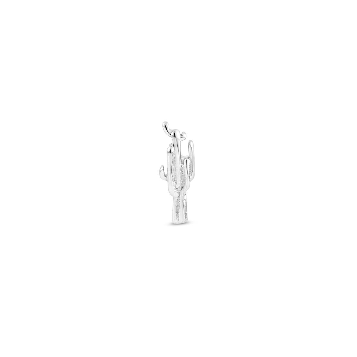 Cactus End