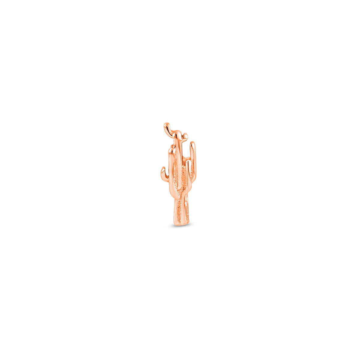 Cactus End