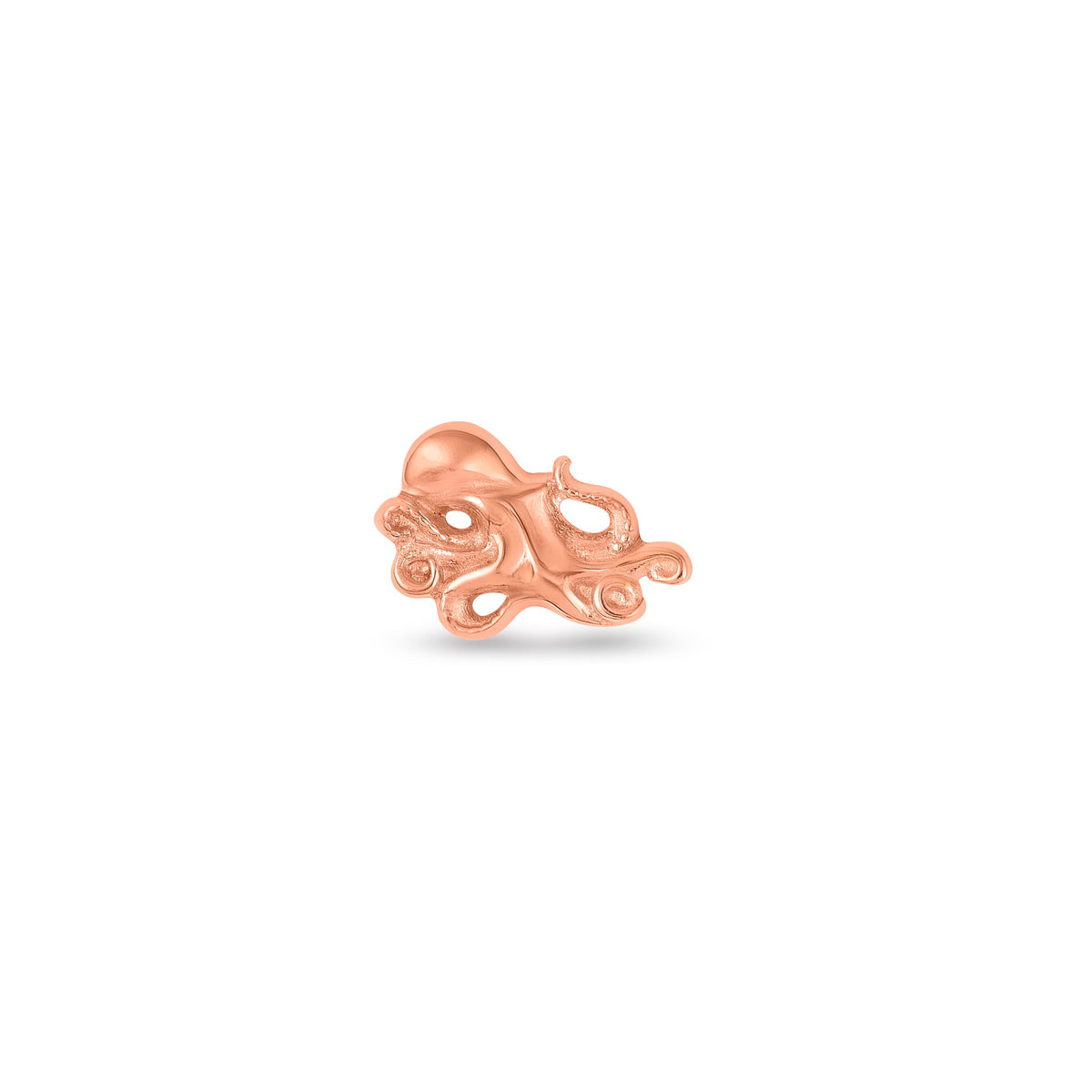 Octopus End