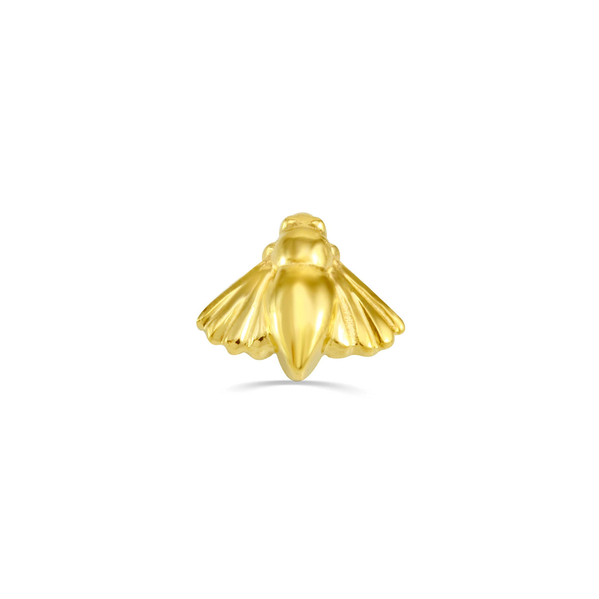 Moth End