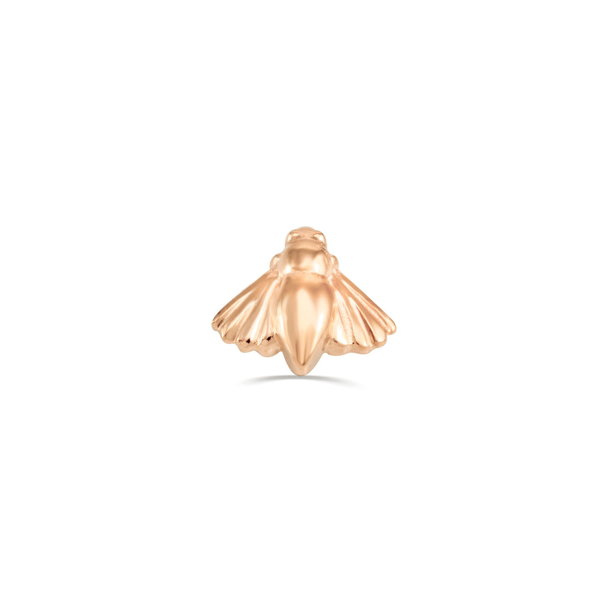 Moth End