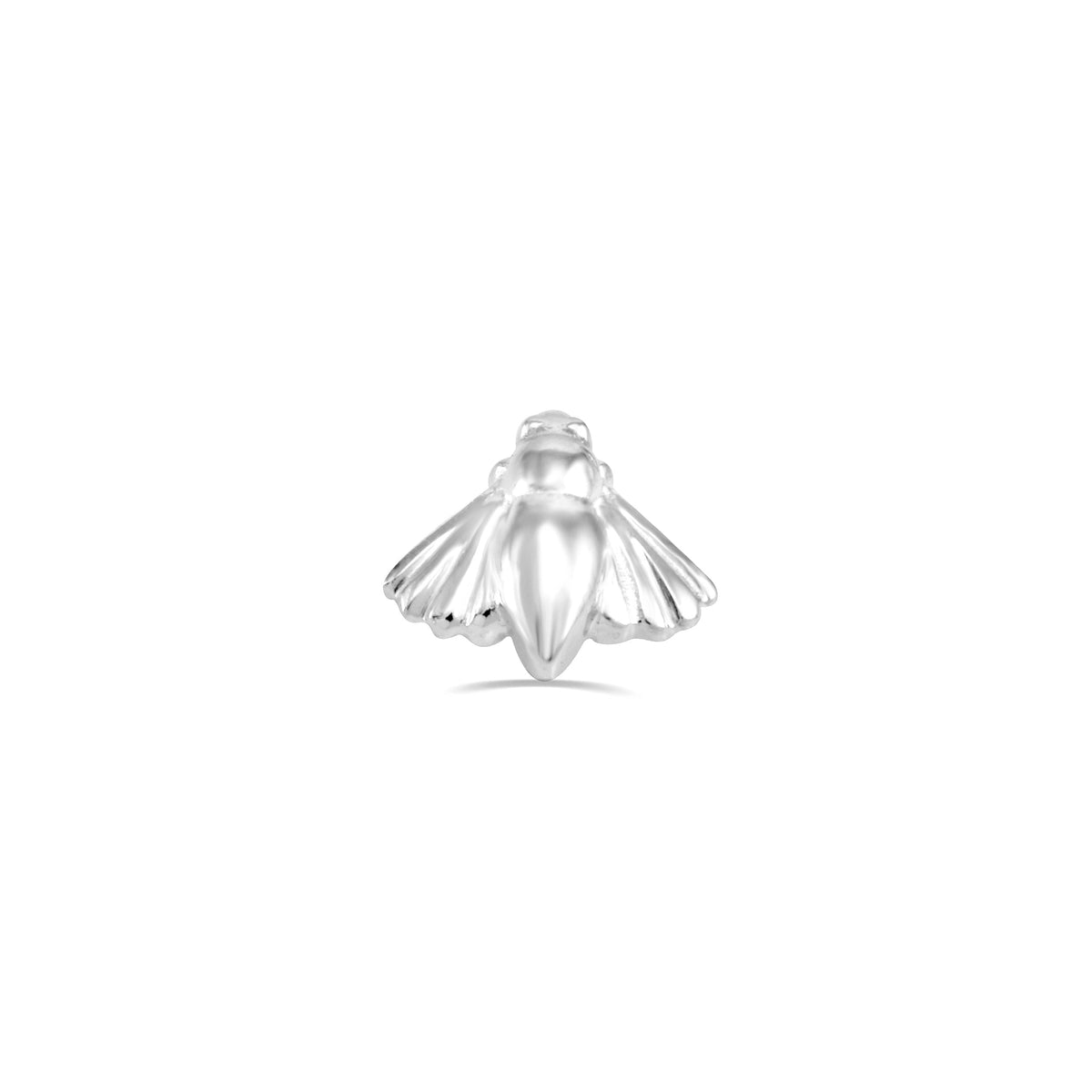 Moth End