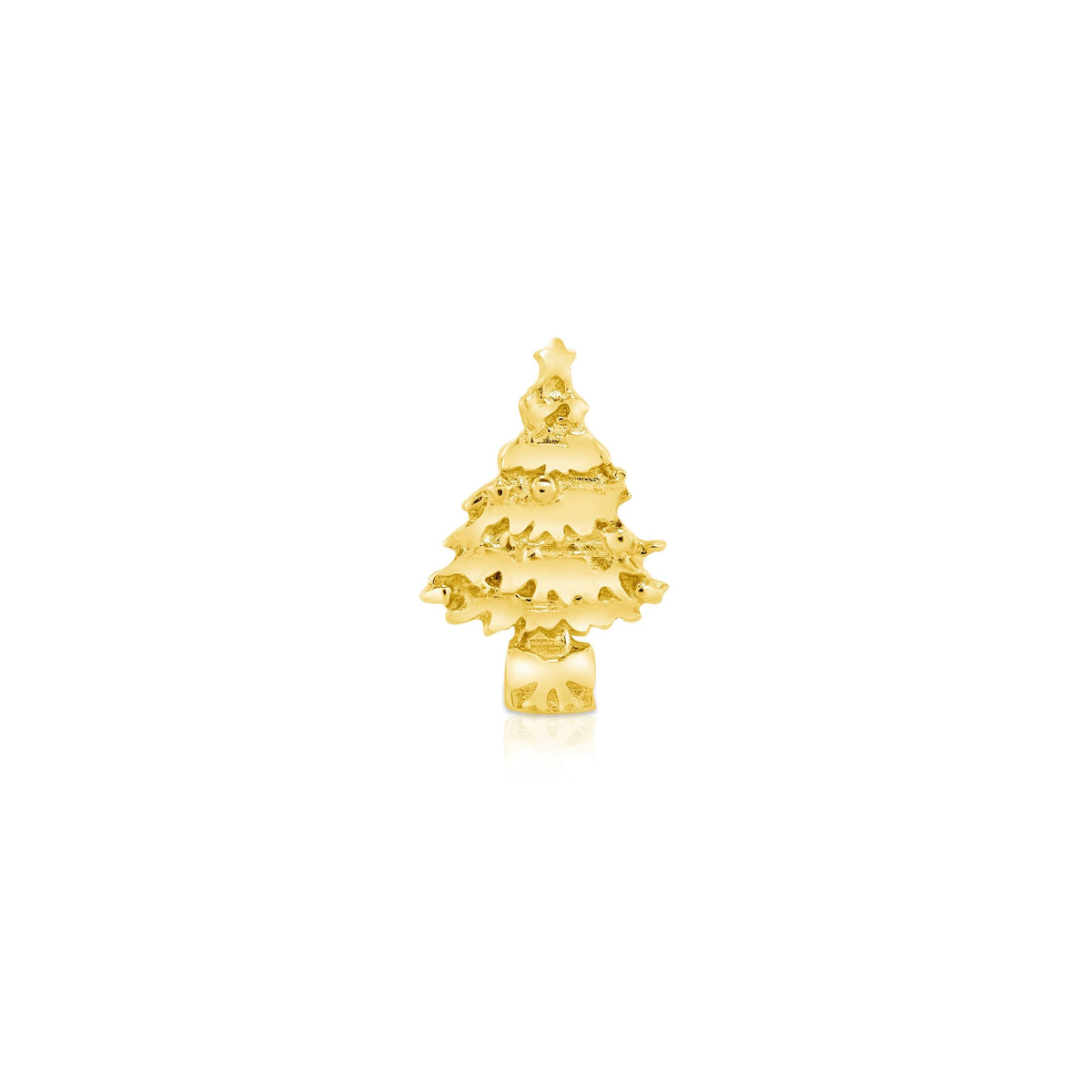 Blue Spruce End