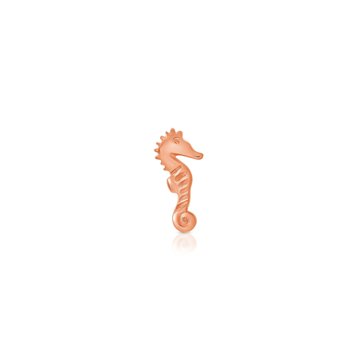 Sea Horse End