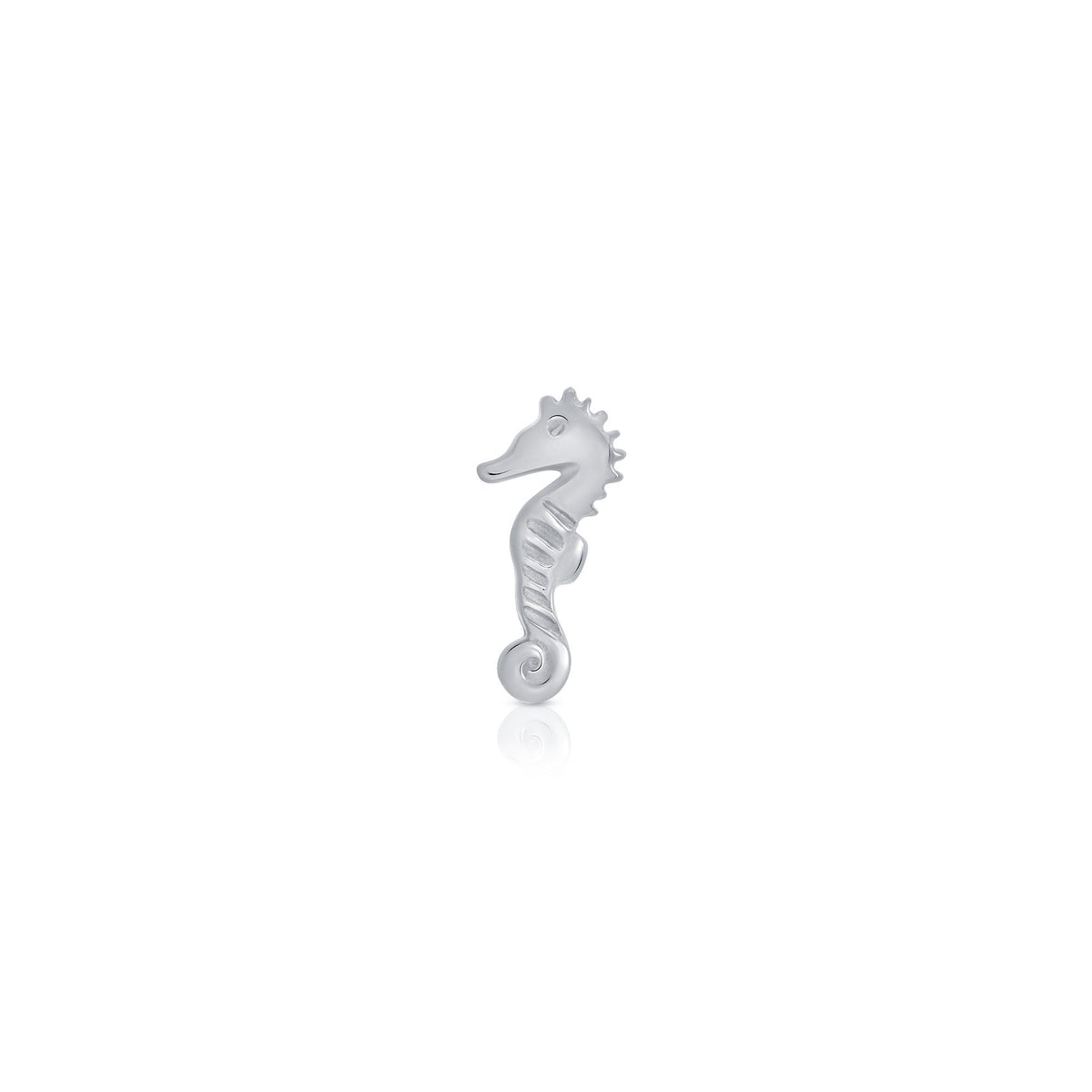 Sea Horse End