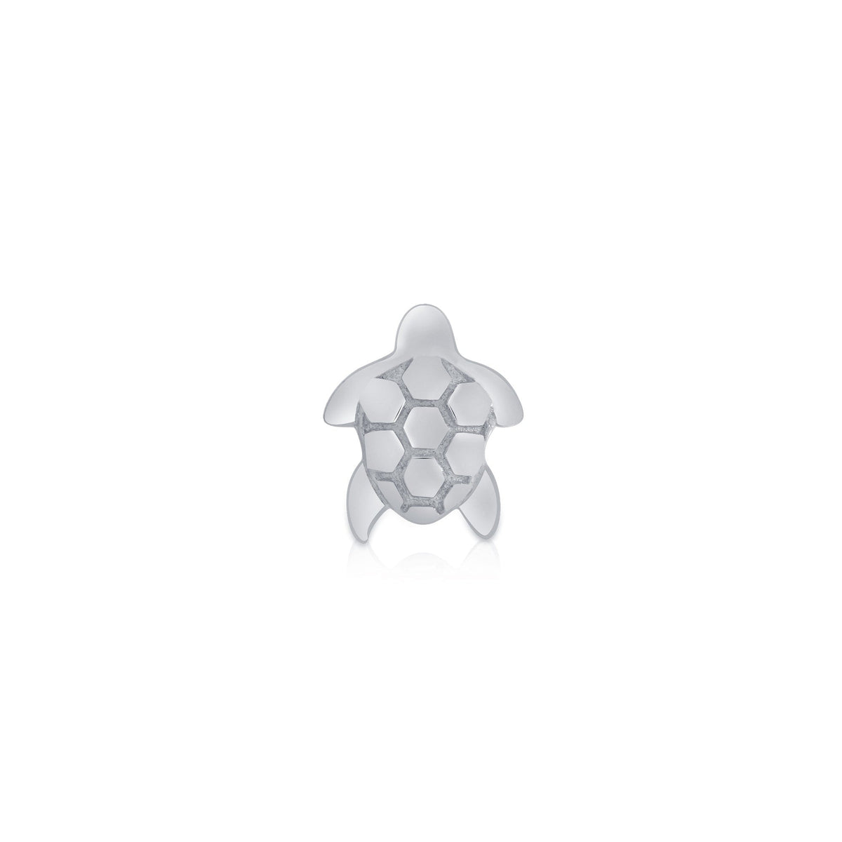 Sea Turtle End