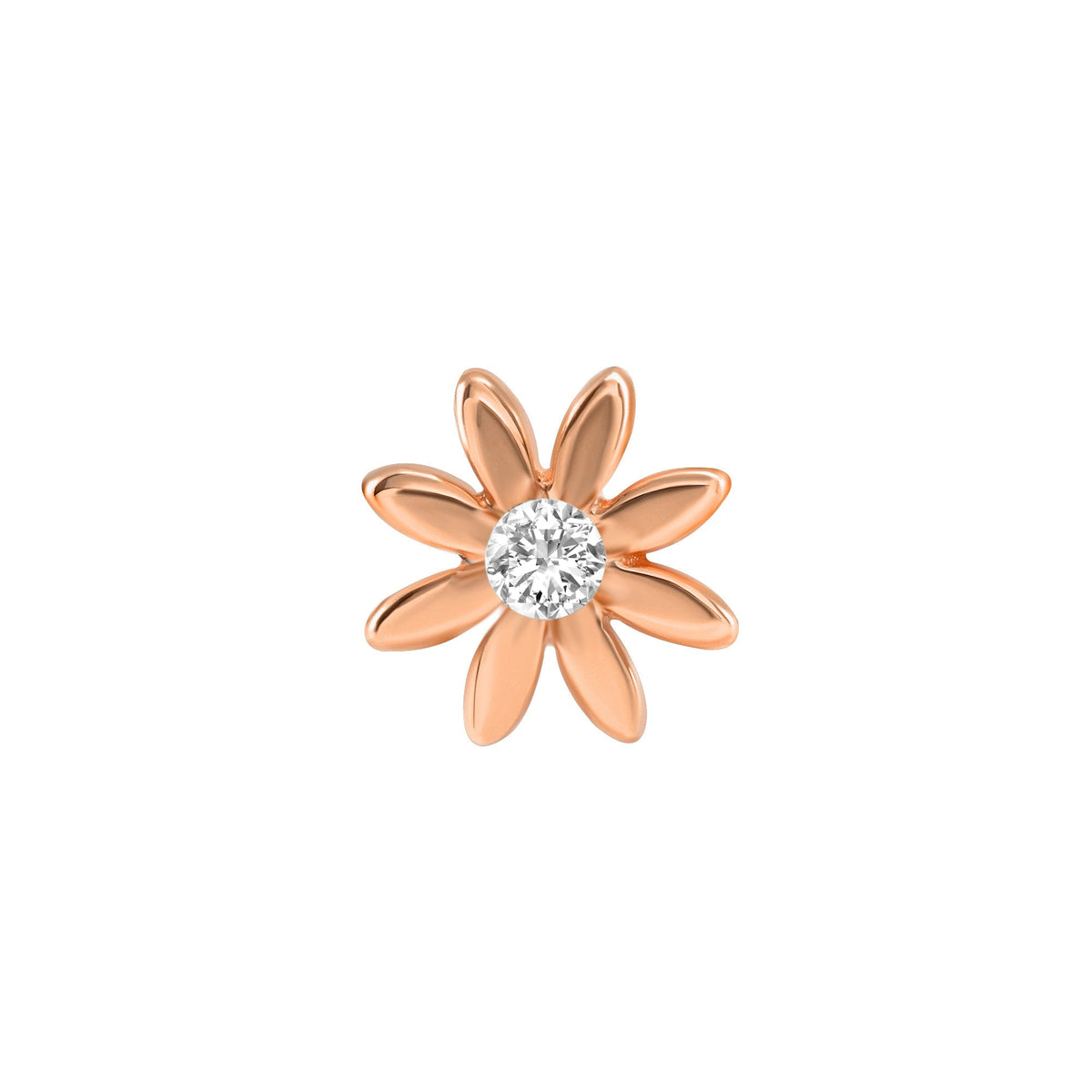 Chamomile Flower End
