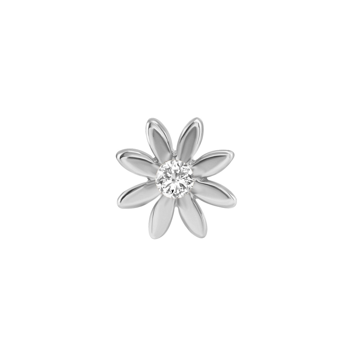 Chamomile Flower End