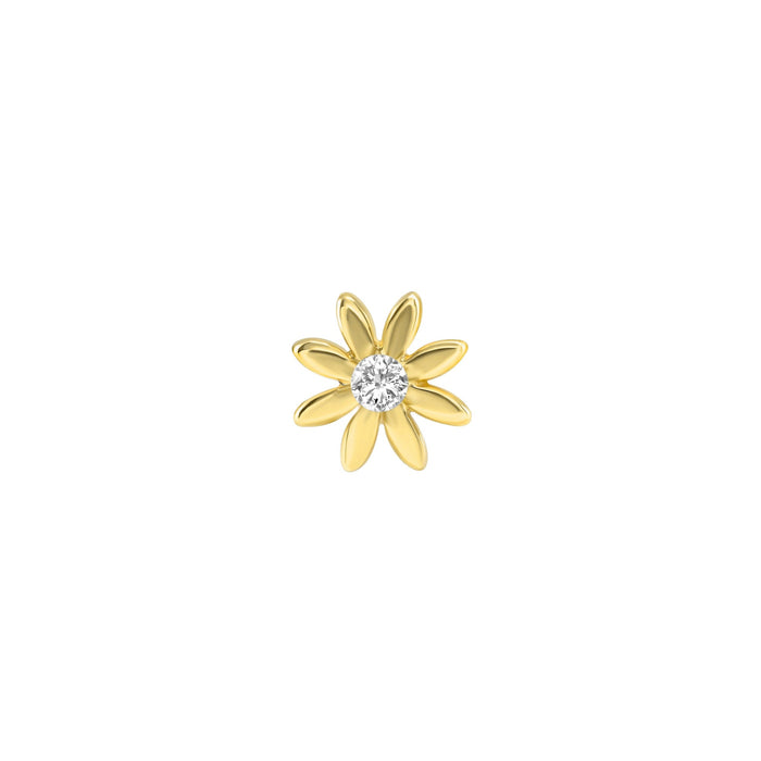 Chamomile Flower End