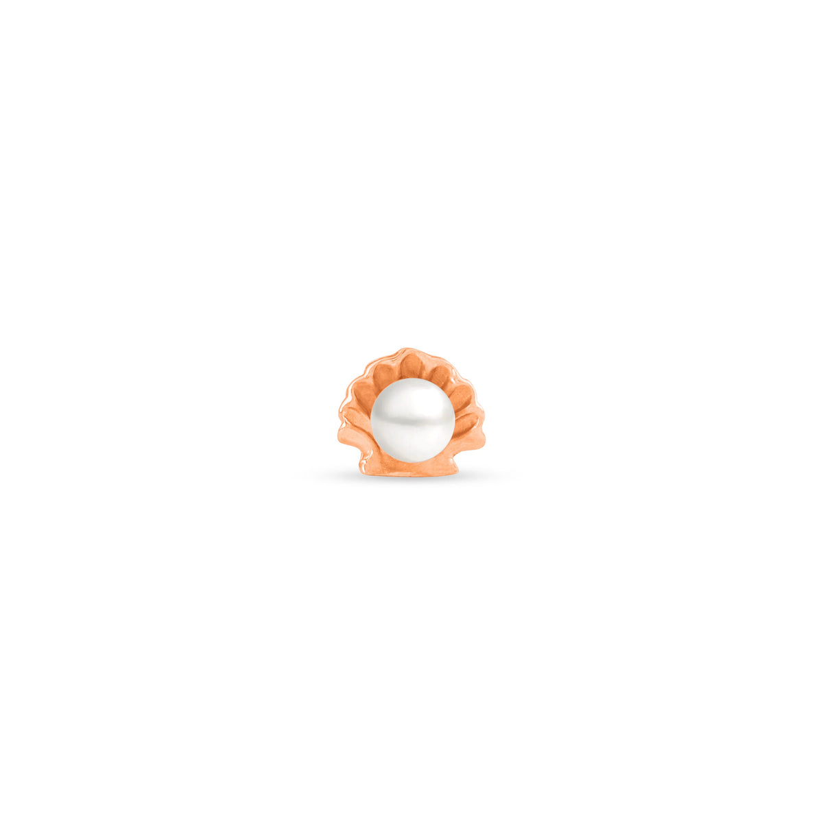 Oyster with Genuine Pearl End