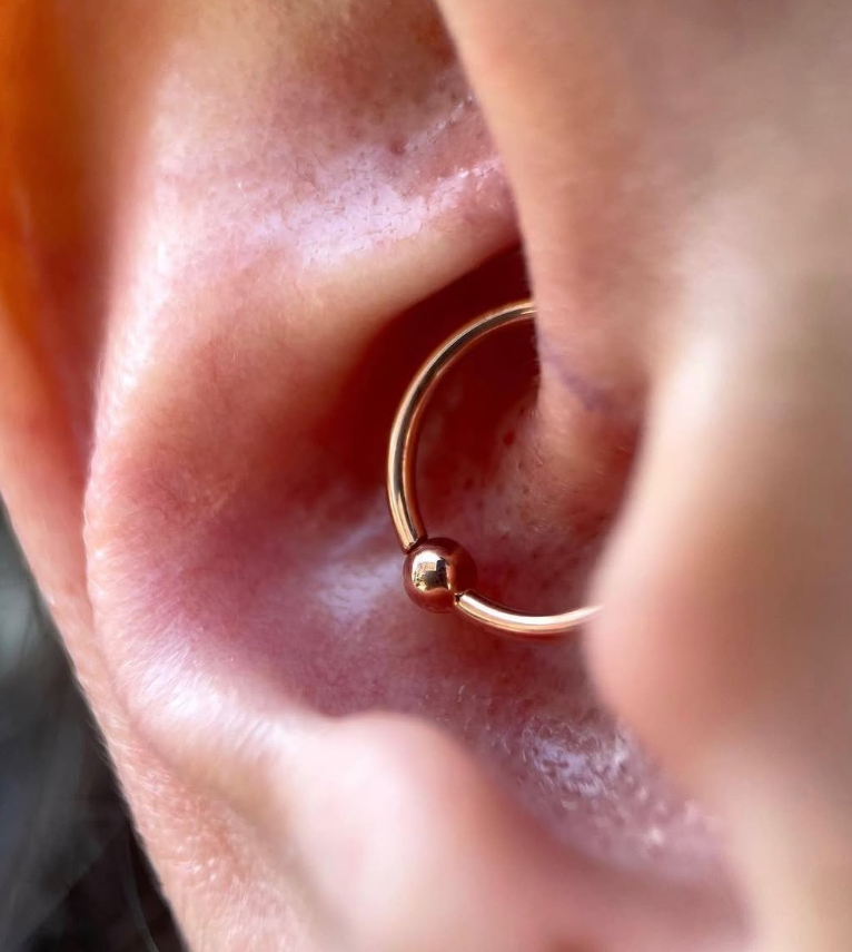 Fixed Captive Bead Seamless Ring