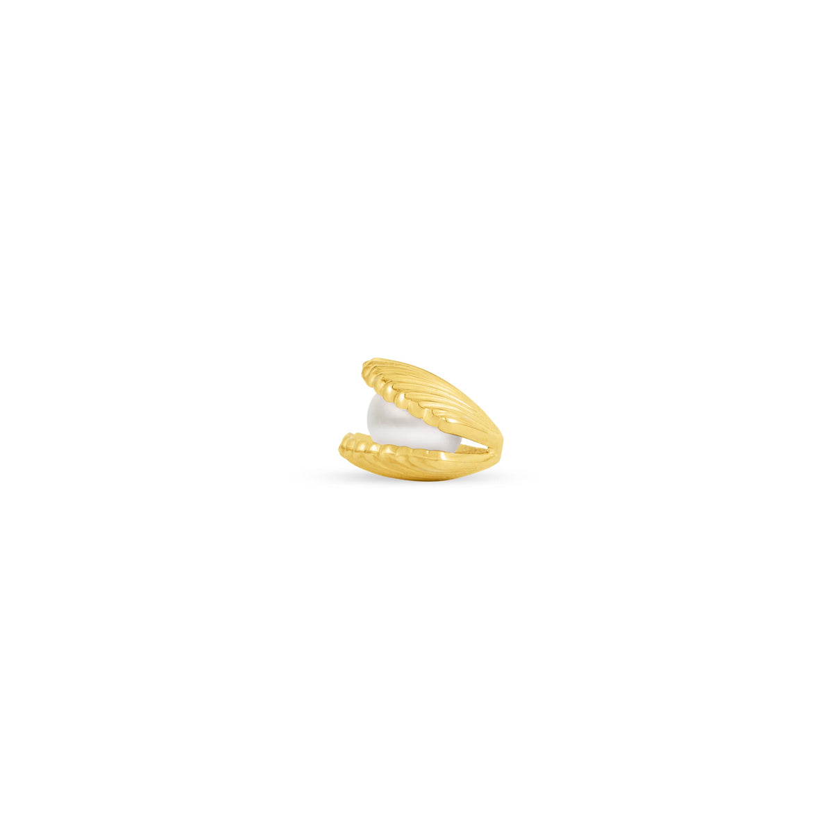 Open Shell with Genuine Pearl End