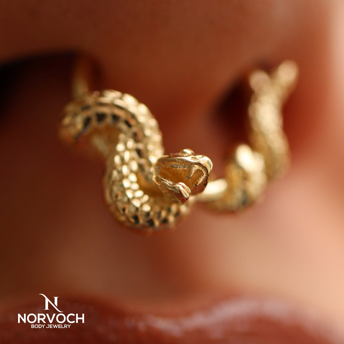 Rattlesnake Seamless Ring