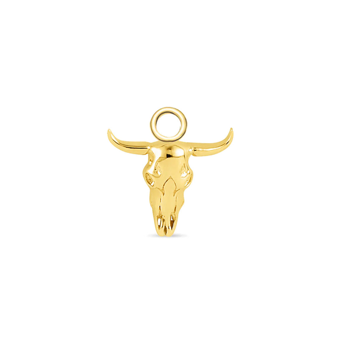 Buckaroo Skull Charm