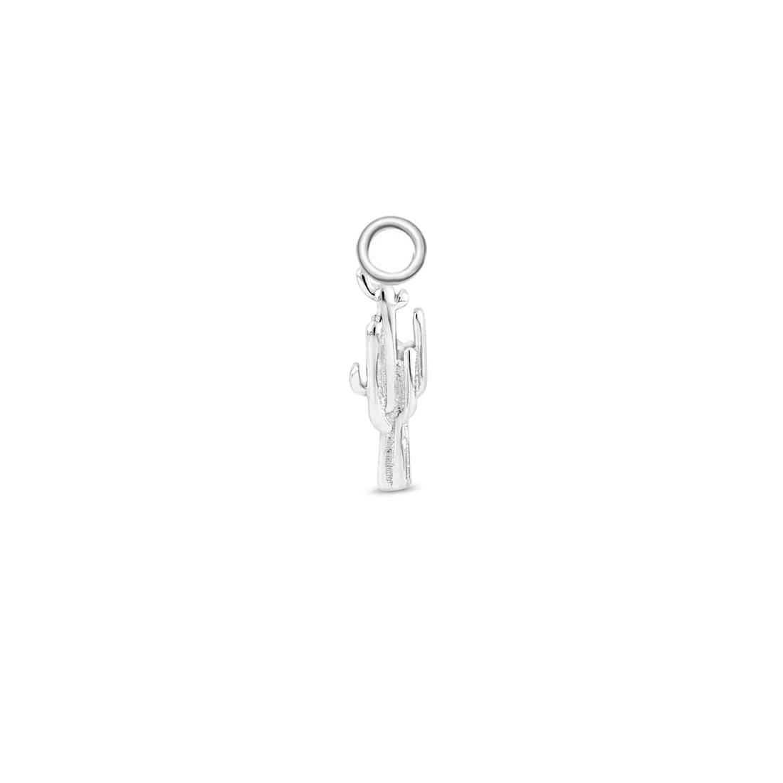 Cactus Charm