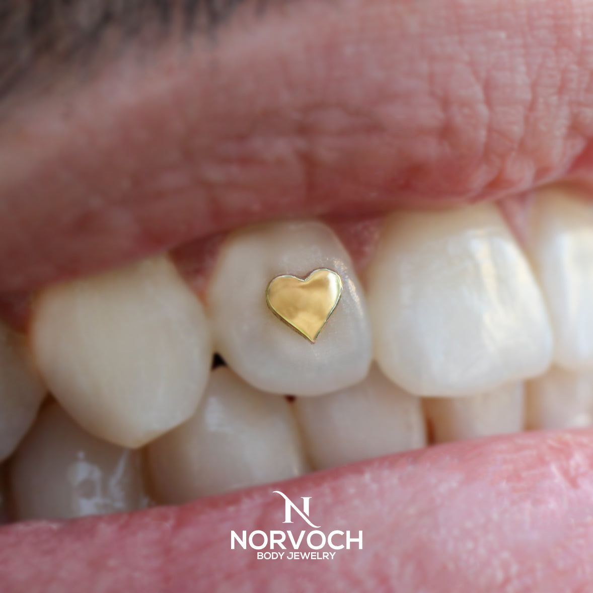 Heart Tooth Jewelry