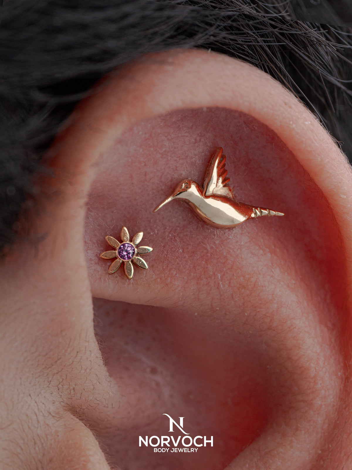 Hummingbird End