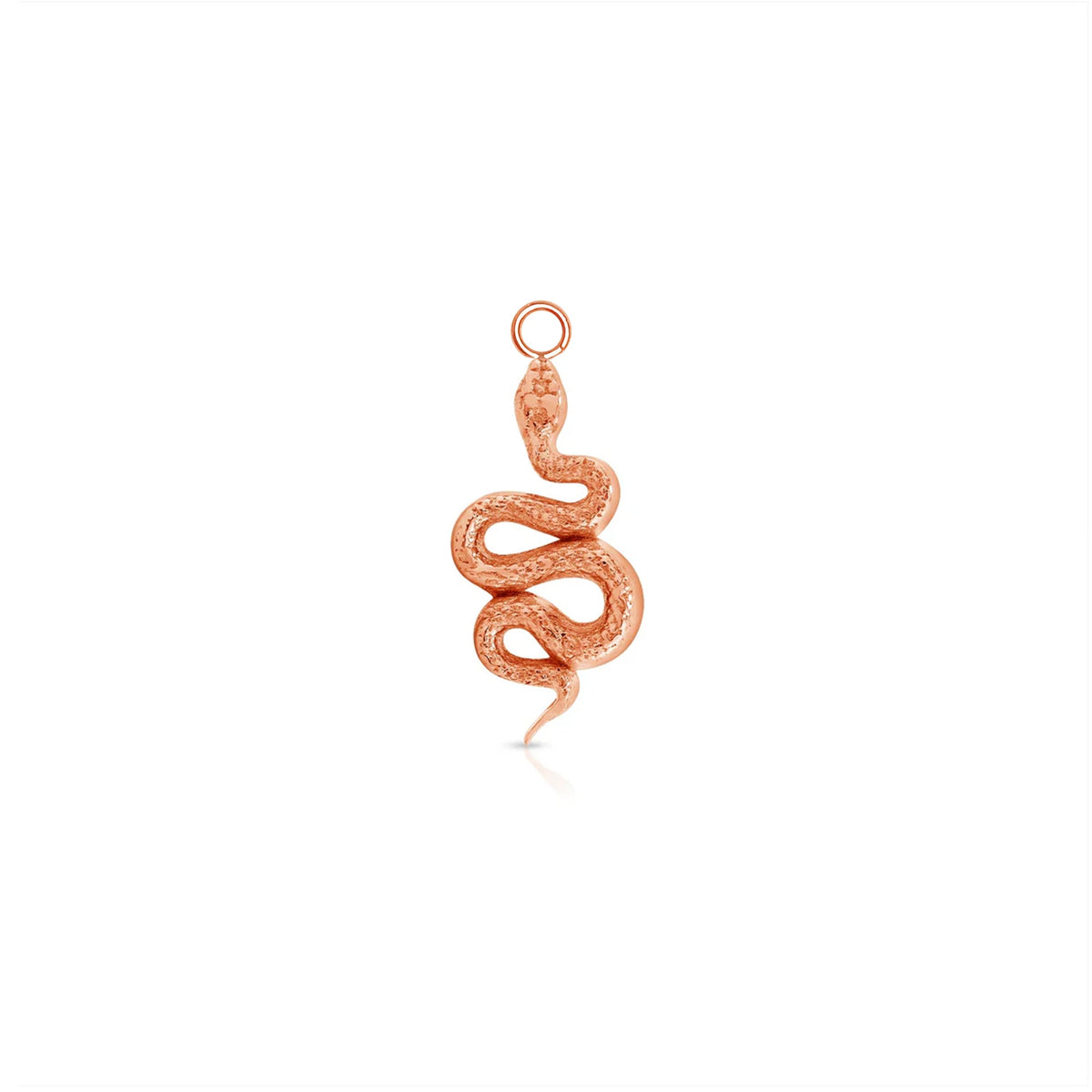 Rattlesnake Charm