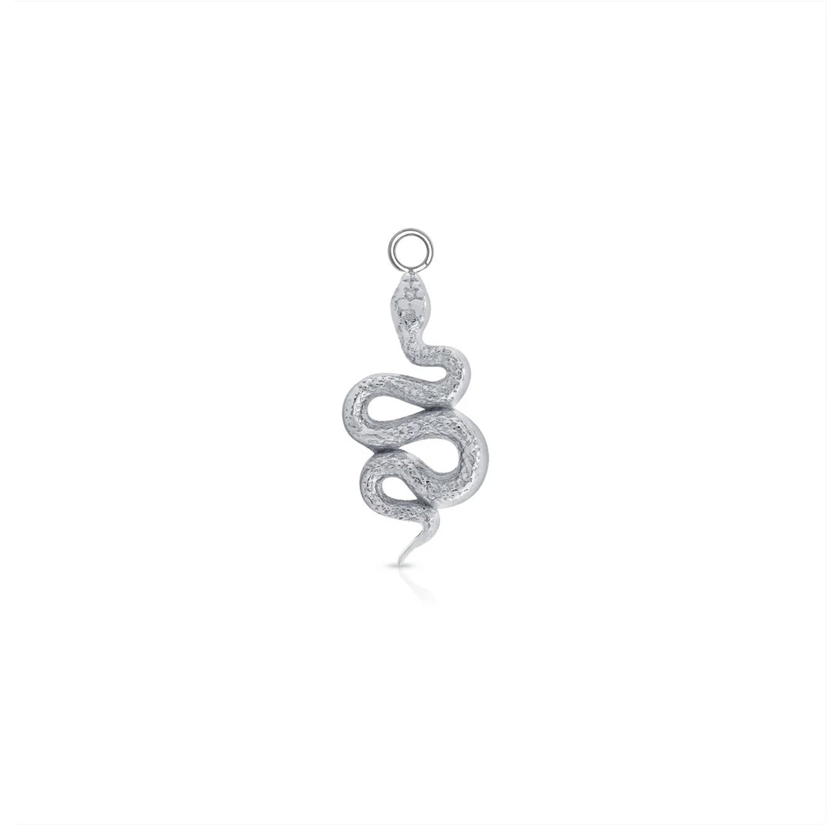 Rattlesnake Charm