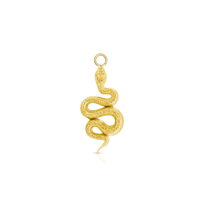 Rattlesnake Charm