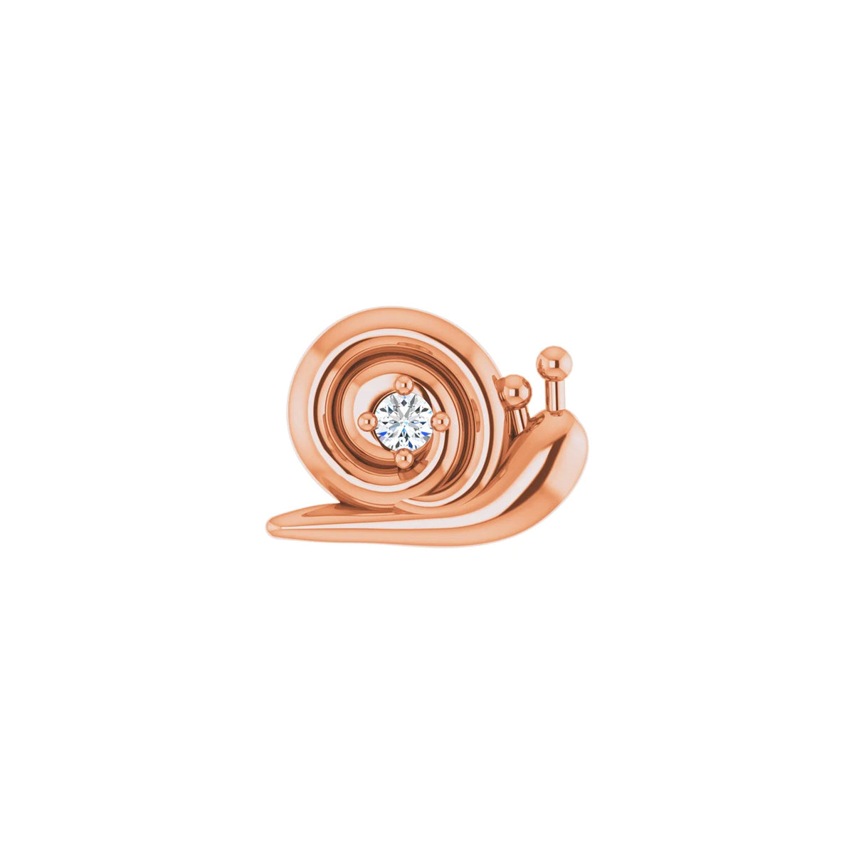 Snail