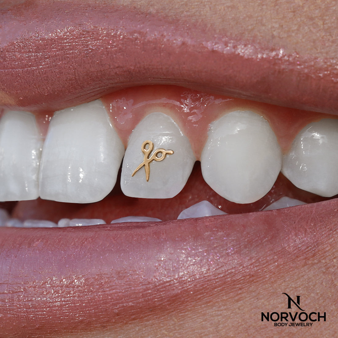 Scissors Tooth Jewelry