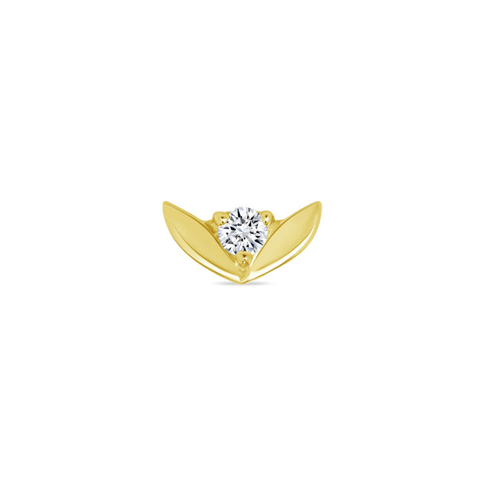 Tulip End