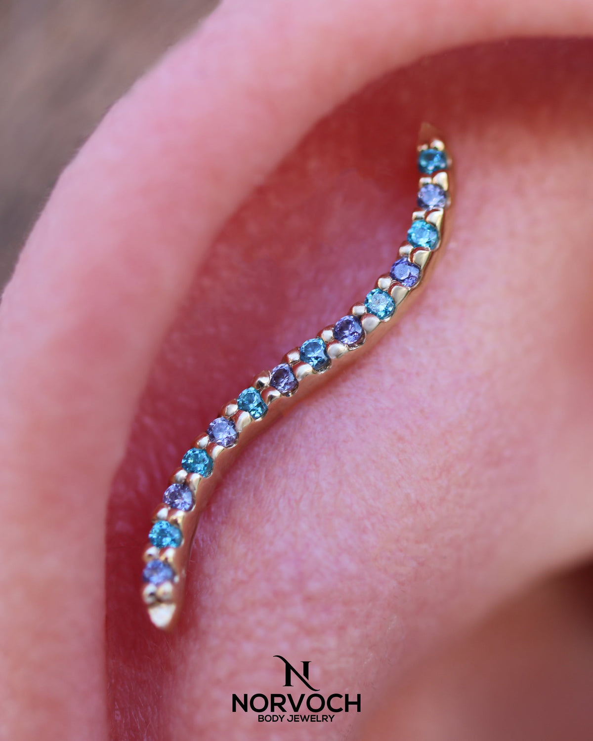 Path With Gems Zebra End